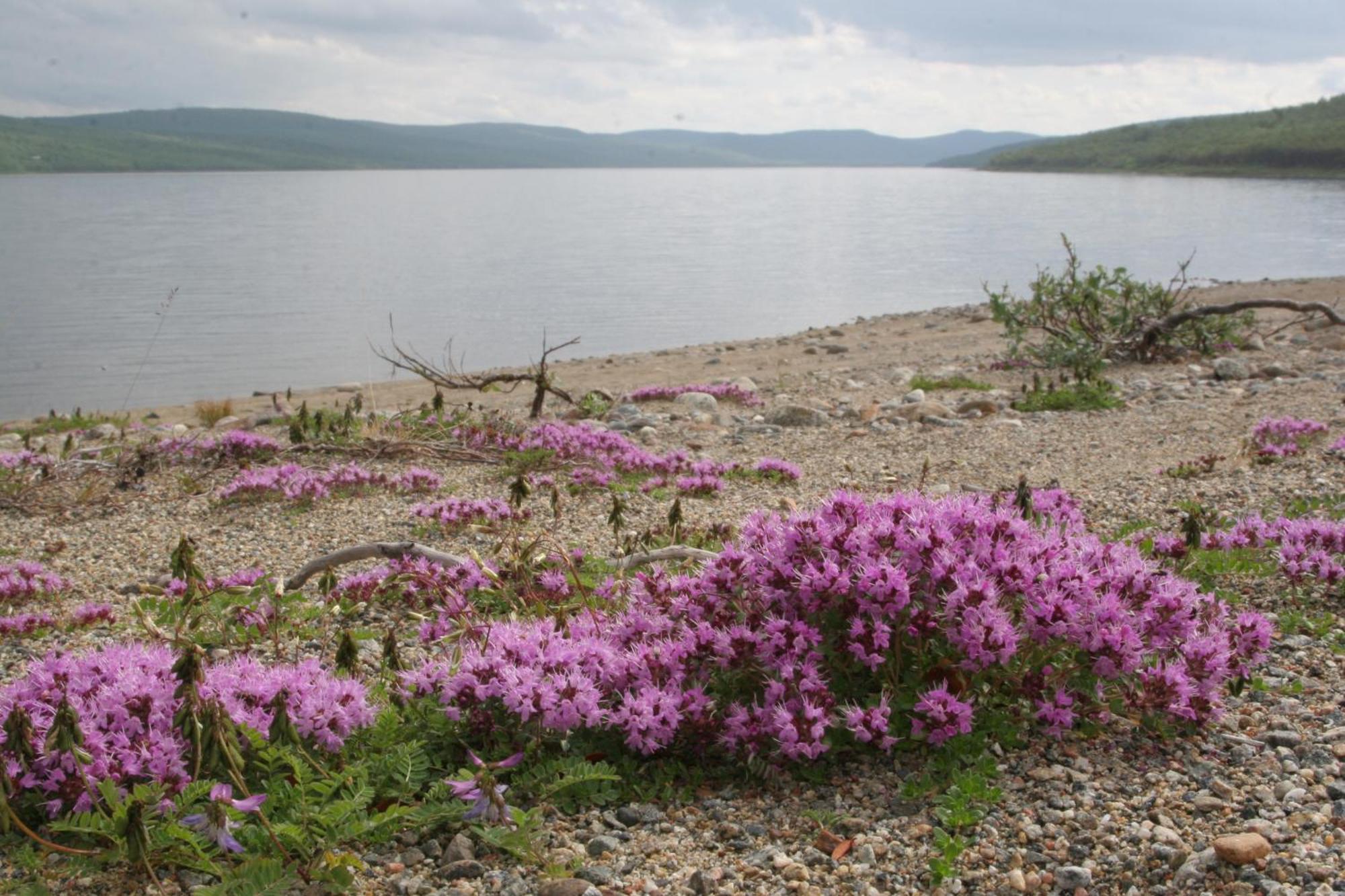 Holiday Village Nuorgamin Lomakeskus Екстер'єр фото